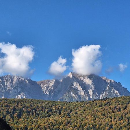 Casa Antonia Hotel Азуга Екстериор снимка