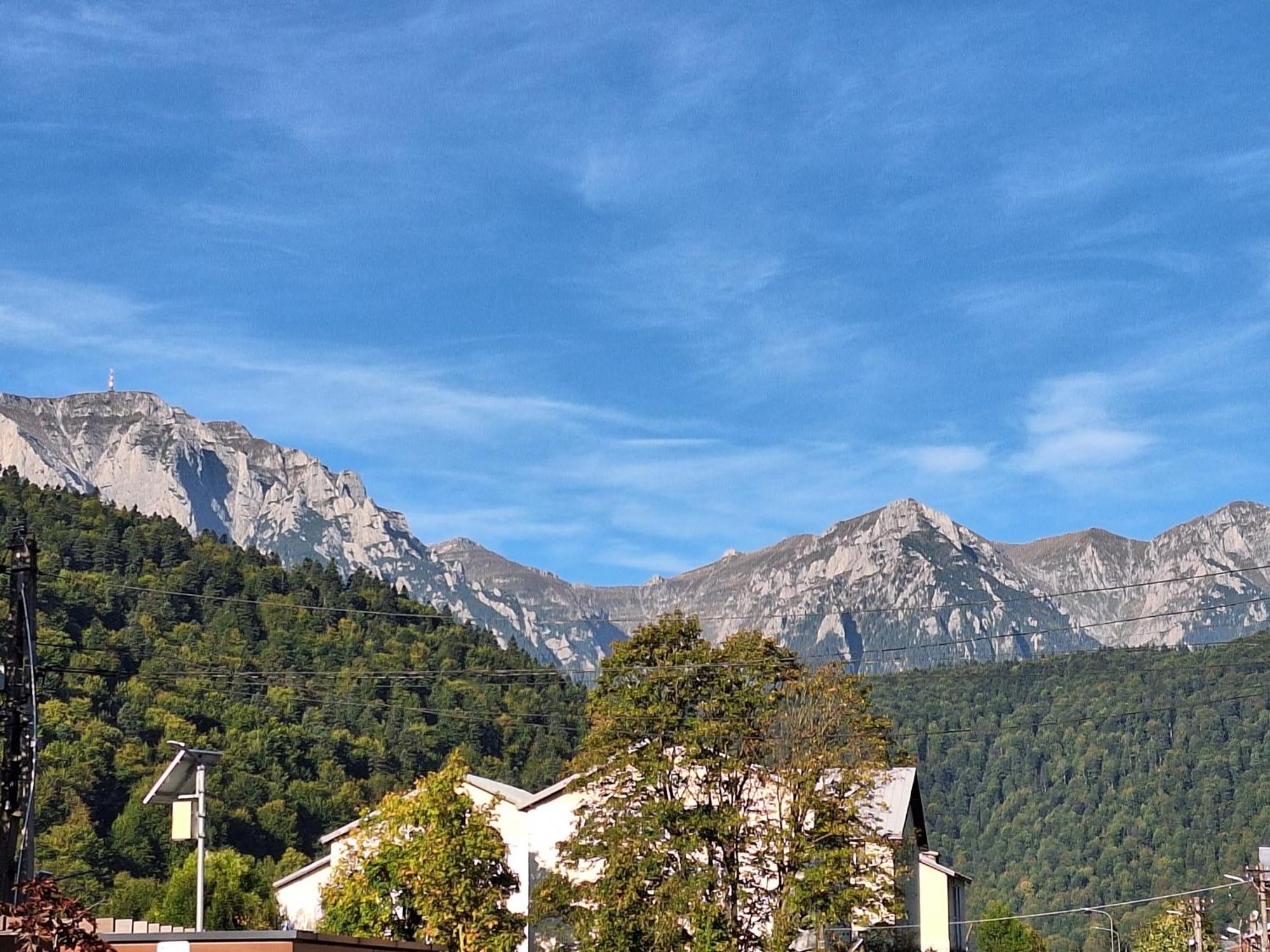 Casa Antonia Hotel Азуга Екстериор снимка